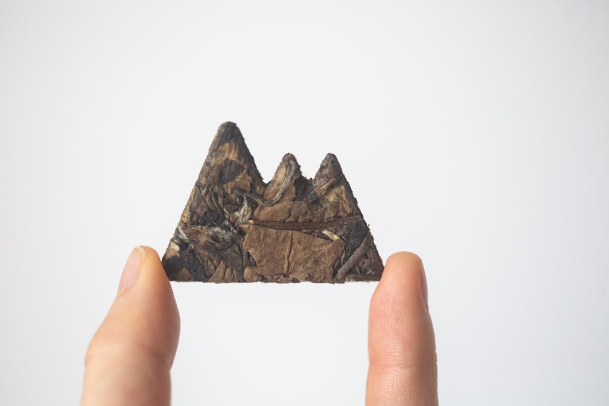 little mountain 2020 fuding shoumei white tea 1 | BITTERLEAF TEAS little mountain 2020 fuding shoumei white tea 1 | BITTERLEAF TEAS