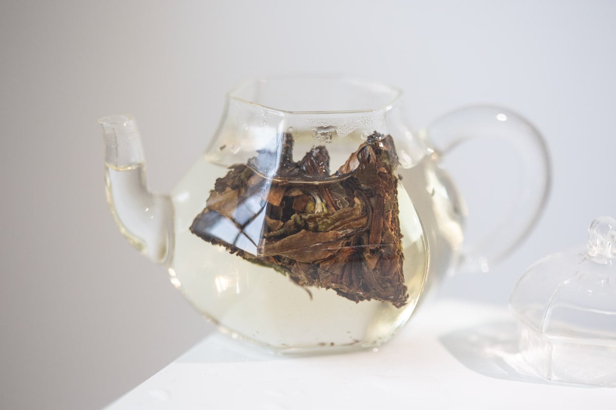 little mountain 2020 fuding shoumei white tea 2 | BITTERLEAF TEAS little mountain 2020 fuding shoumei white tea 2 | BITTERLEAF TEAS