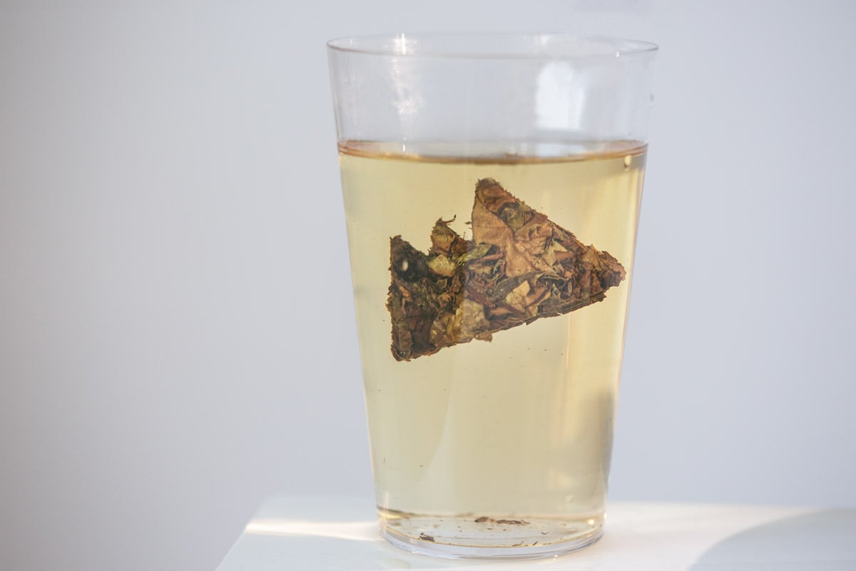 little mountain 2020 fuding shoumei white tea 3 | BITTERLEAF TEAS little mountain 2020 fuding shoumei white tea 3 | BITTERLEAF TEAS