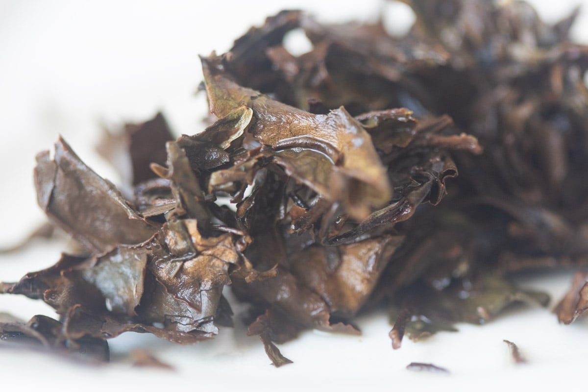 little mountain 2020 fuding shoumei white tea 6 | BITTERLEAF TEAS little mountain 2020 fuding shoumei white tea 6 | BITTERLEAF TEAS