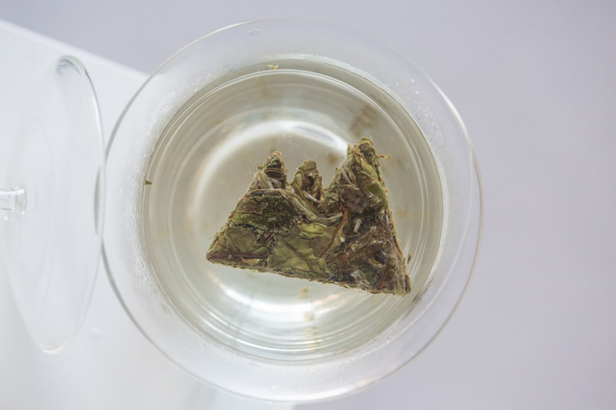 little mountain 2024 fuding baimudan white tea 3 | BITTERLEAF TEAS little mountain 2024 fuding baimudan white tea 3 | BITTERLEAF TEAS