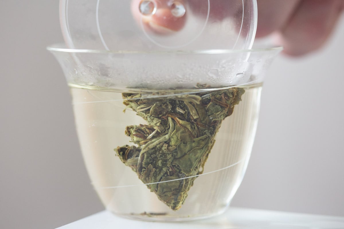 little mountain 2024 fuding baimudan white tea 4 | BITTERLEAF TEAS little mountain 2024 fuding baimudan white tea 4 | BITTERLEAF TEAS