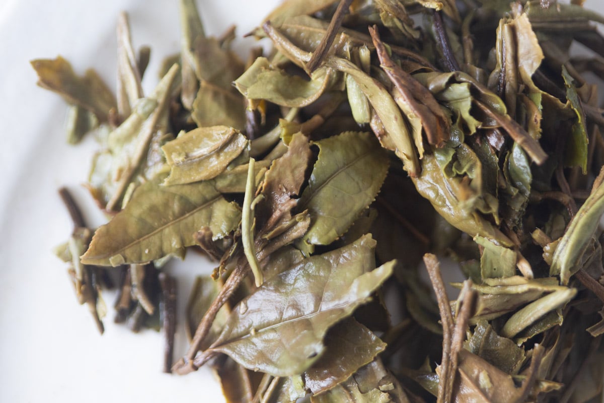 little mountain 2024 fuding baimudan white tea 6 | BITTERLEAF TEAS little mountain 2024 fuding baimudan white tea 6 | BITTERLEAF TEAS