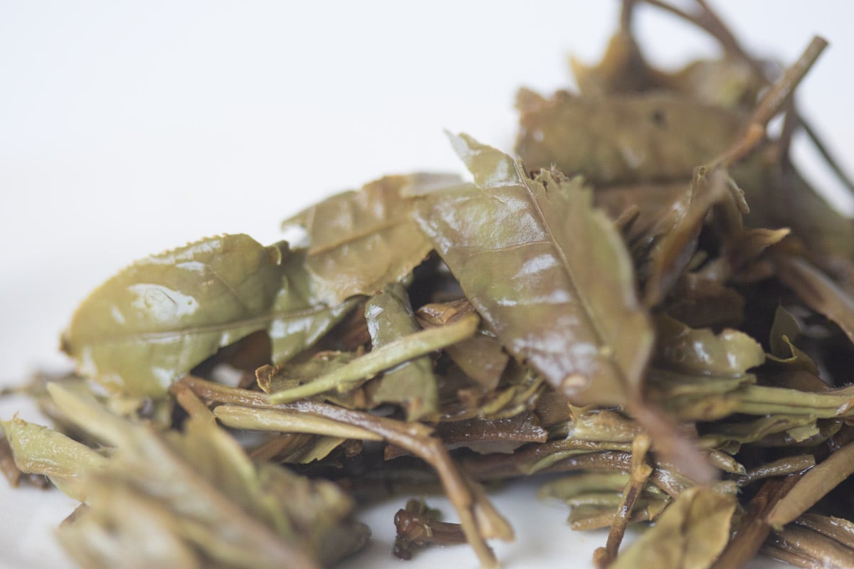 little mountain 2024 fuding baimudan white tea 7 | BITTERLEAF TEAS little mountain 2024 fuding baimudan white tea 7 | BITTERLEAF TEAS