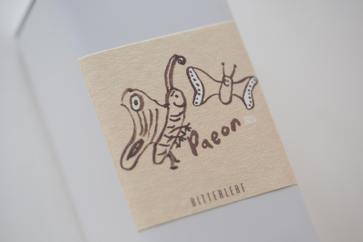 paeon 2025 spring fuding baimudan white tea 5 | BITTERLEAF TEAS