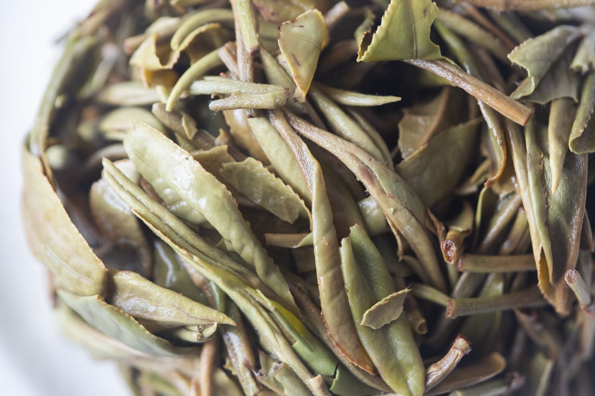 paeon 2025 spring fuding baimudan white tea 6 | BITTERLEAF TEAS