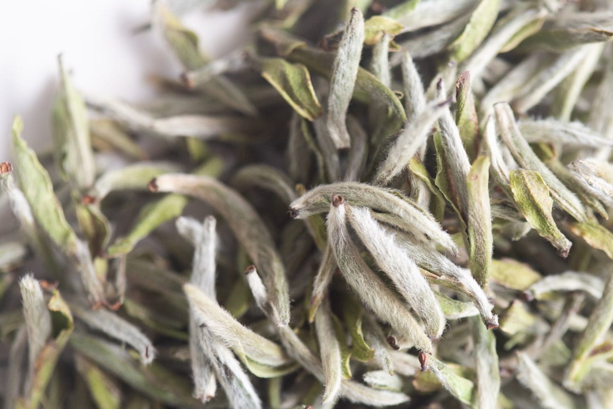 Top Flight 2025 Spring Fuding Silver Needle White Tea