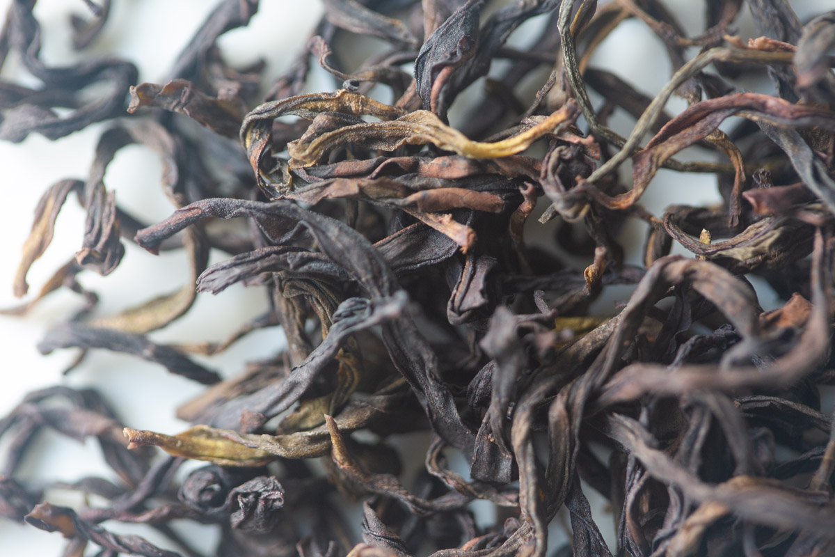 3 cheers 2025 spring huangzhi xiang dancong oolong tea 3 | BITTERLEAF TEAS