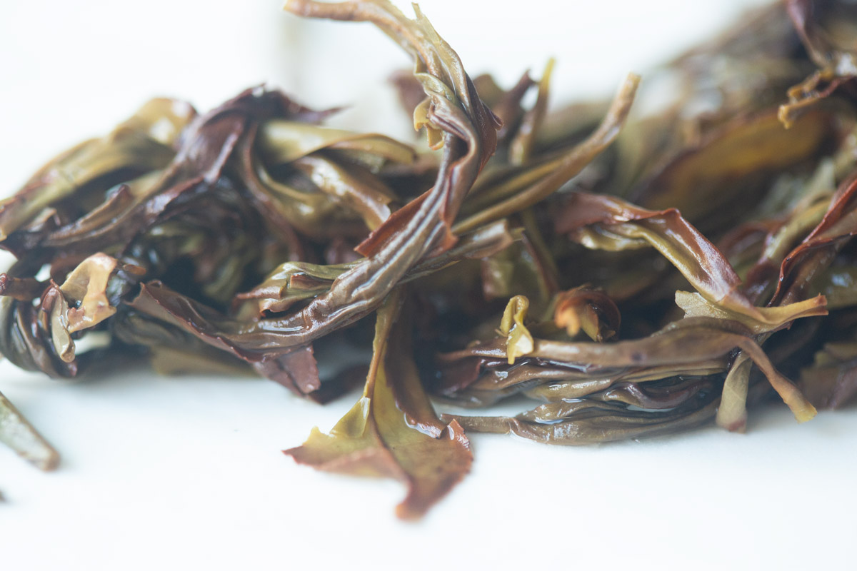 3 cheers 2025 spring huangzhi xiang dancong oolong tea 7 | BITTERLEAF TEAS