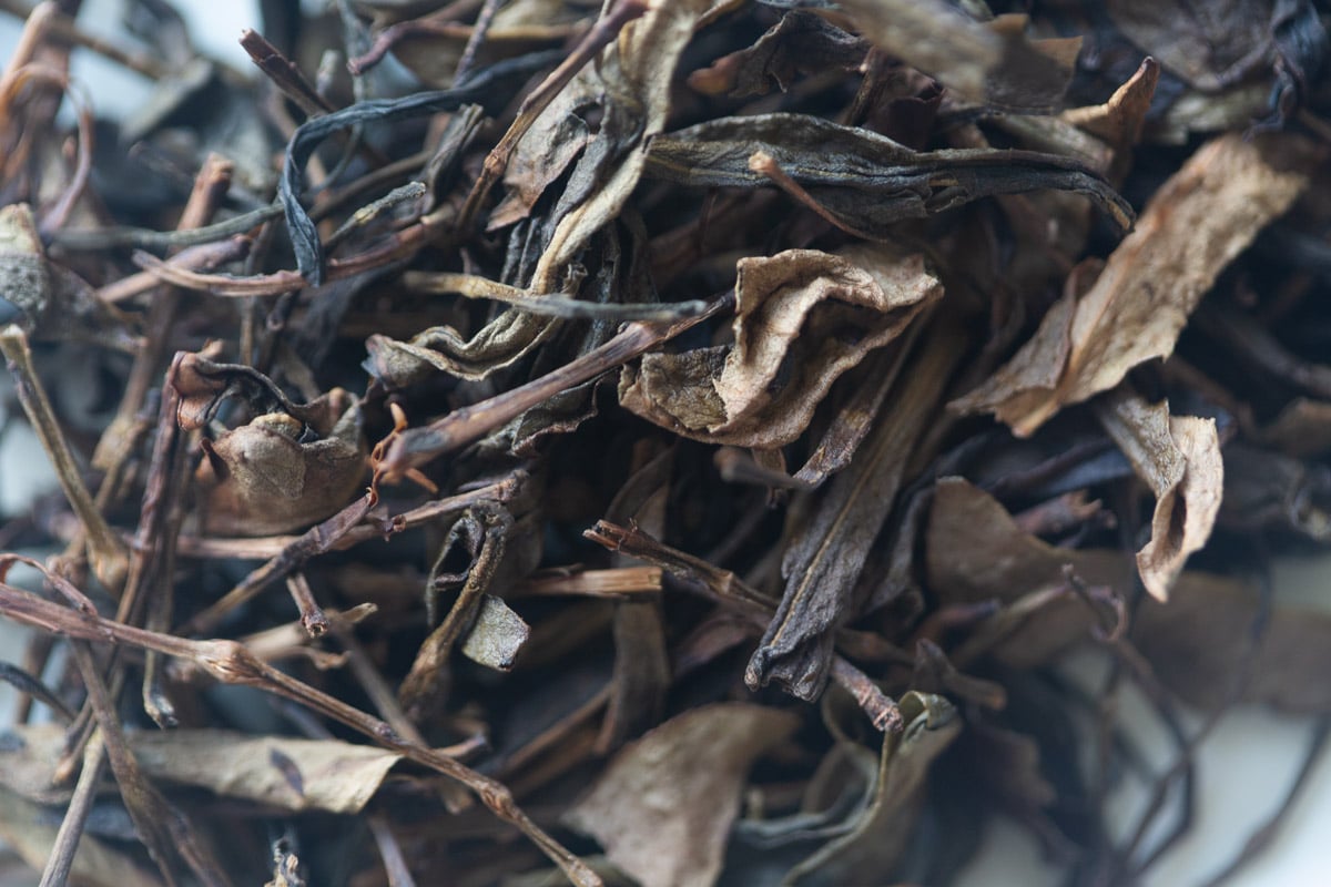 bouquet 2025 spring dancong oolong huangpian tea 2 | BITTERLEAF TEAS bouquet 2025 spring dancong oolong huangpian tea 2 | BITTERLEAF TEAS