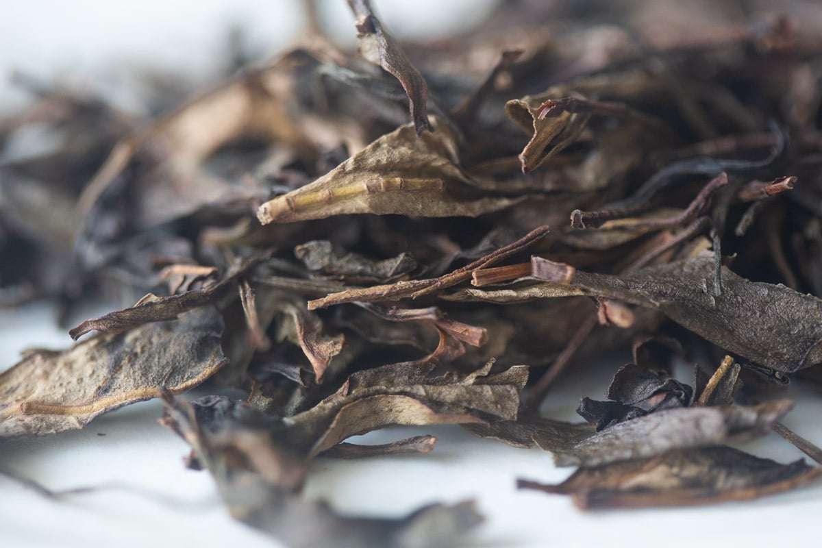 bouquet 2025 spring dancong oolong huangpian tea 3 | BITTERLEAF TEAS bouquet 2025 spring dancong oolong huangpian tea 3 | BITTERLEAF TEAS