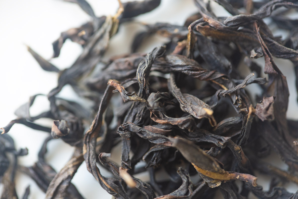 easy breezy 2025 spring yashi xiang dancong oolong tea 3 | BITTERLEAF TEAS easy breezy 2025 spring yashi xiang dancong oolong tea 3 | BITTERLEAF TEAS