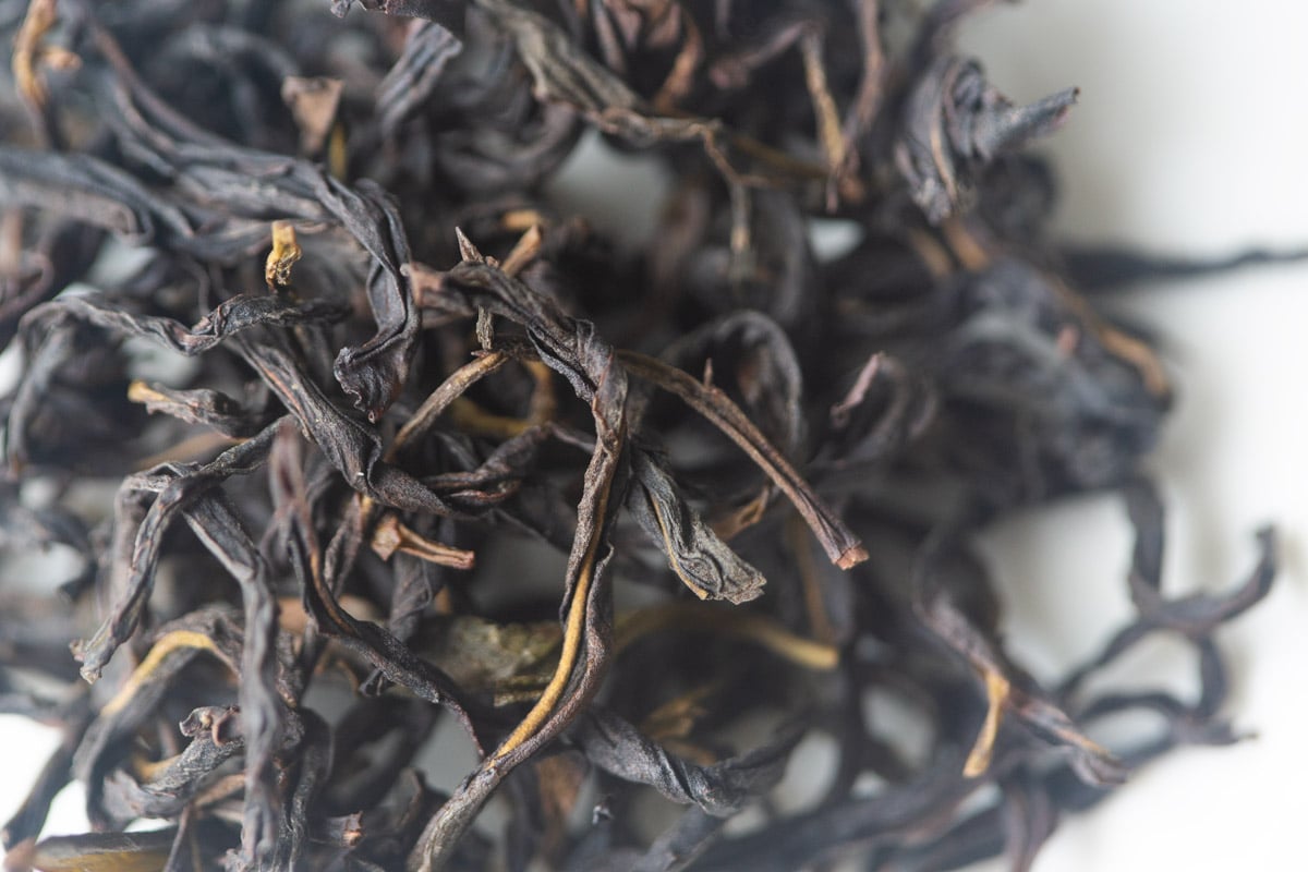 make it rain 2025 spring aofuhou dancong oolong tea 3 | BITTERLEAF TEAS make it rain 2025 spring aofuhou dancong oolong tea 3 | BITTERLEAF TEAS