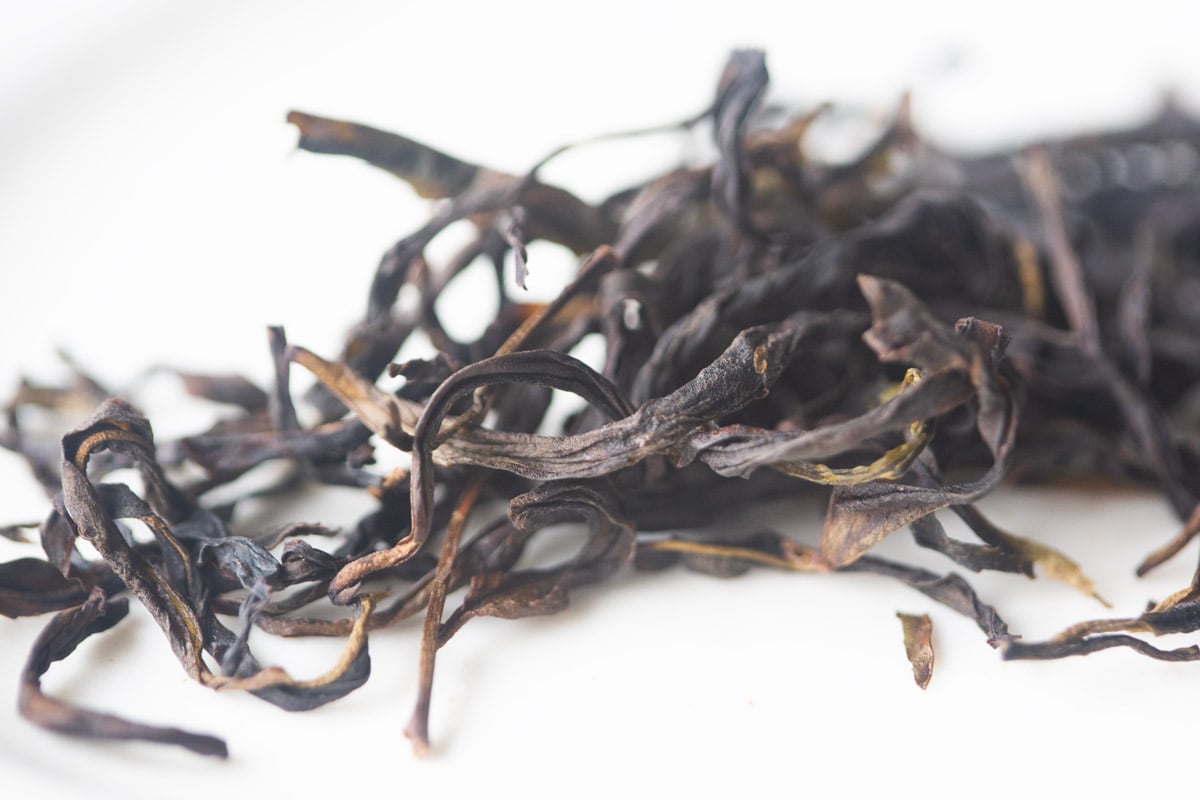 make it rain 2025 spring aofuhou dancong oolong tea 4 | BITTERLEAF TEAS make it rain 2025 spring aofuhou dancong oolong tea 4 | BITTERLEAF TEAS