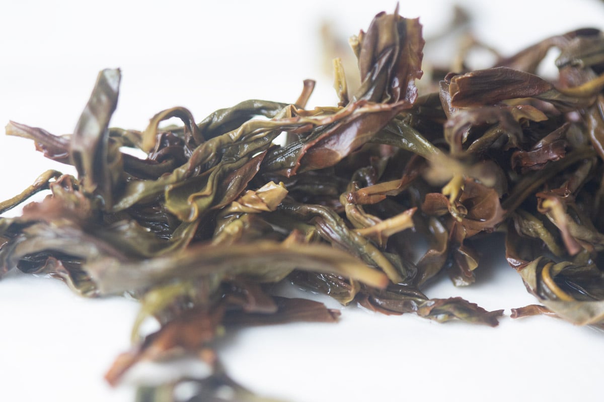 make it rain 2025 spring aofuhou dancong oolong tea 7 | BITTERLEAF TEAS make it rain 2025 spring aofuhou dancong oolong tea 7 | BITTERLEAF TEAS