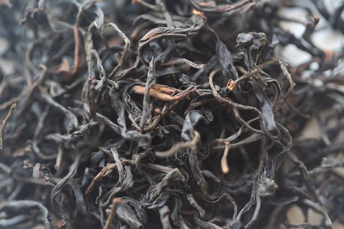 milan overproof 2025 dancong black tea tea 3 | BITTERLEAF TEAS milan overproof 2025 dancong black tea tea 3 | BITTERLEAF TEAS