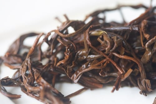 Milan Overproof 2025 Dancong Black Tea | BITTERLEAF TEAS