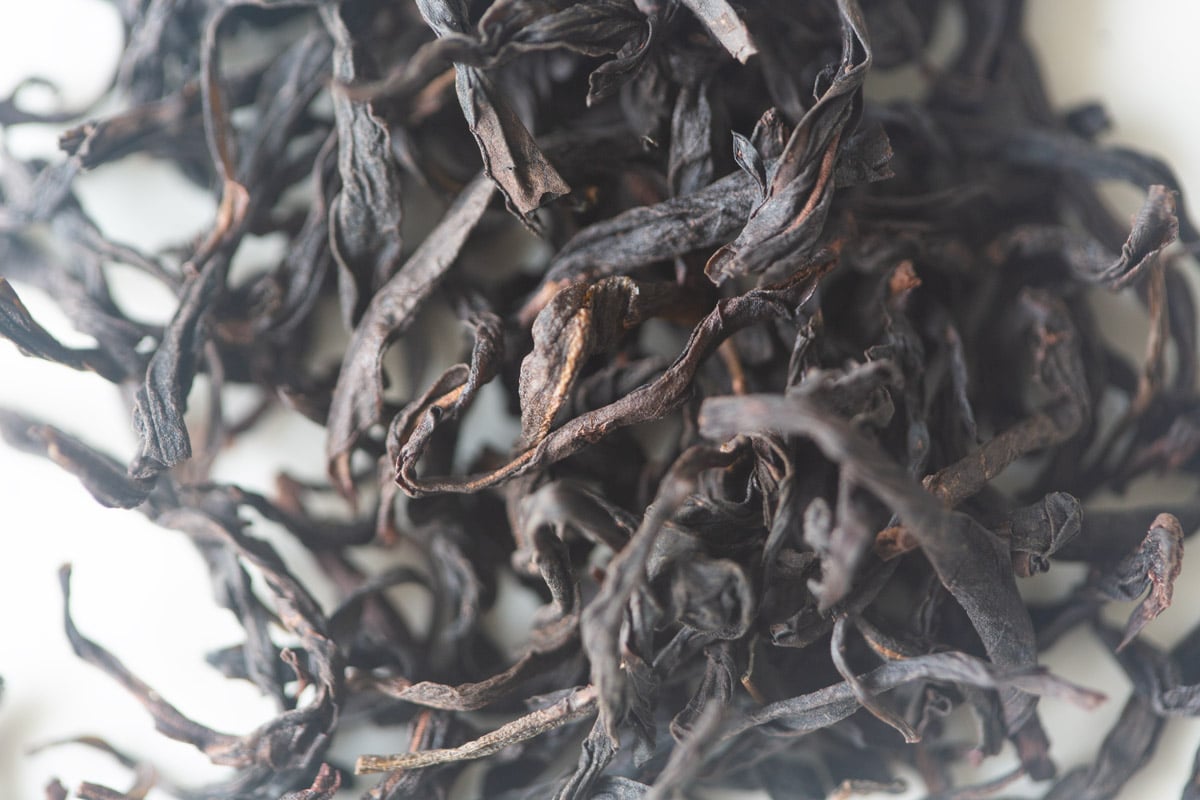 roar 2025 spring jiachang dancong oolong tea 3 | BITTERLEAF TEAS