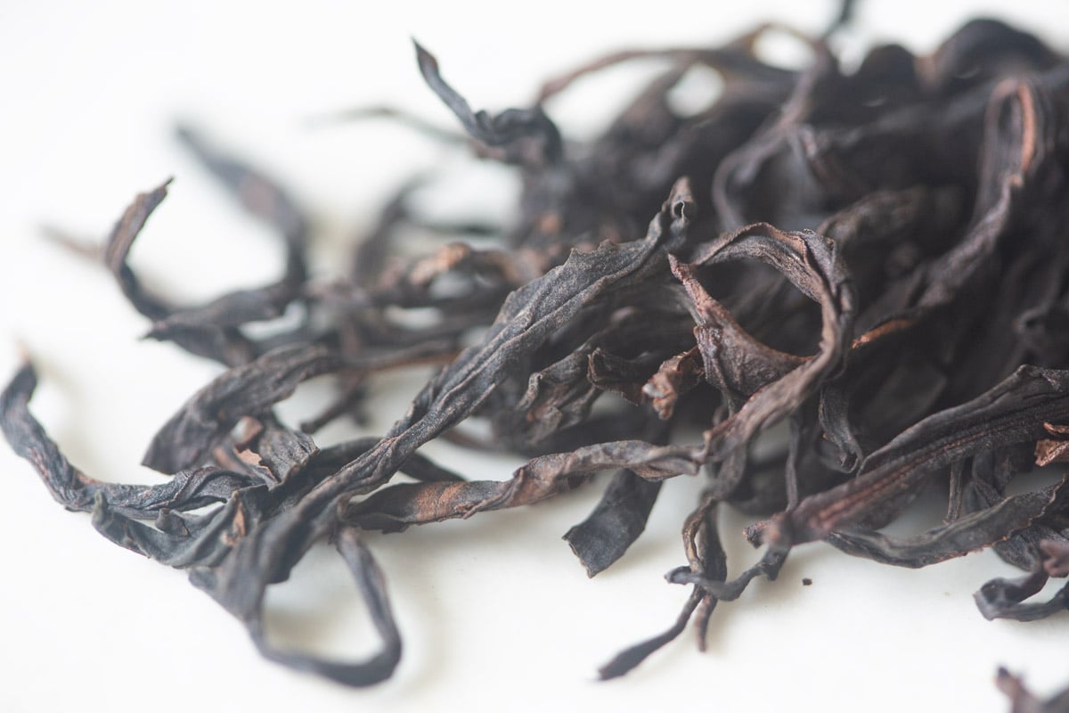 roar 2025 spring jiachang dancong oolong tea 4 | BITTERLEAF TEAS