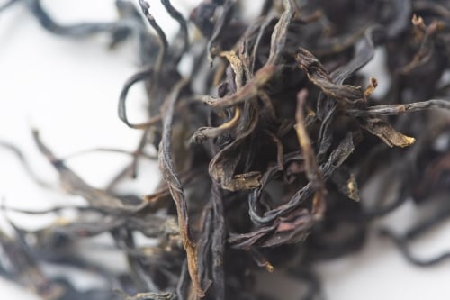 Spectrum 2025 Organic Dancong Oolong - Light | BITTERLEAF TEAS