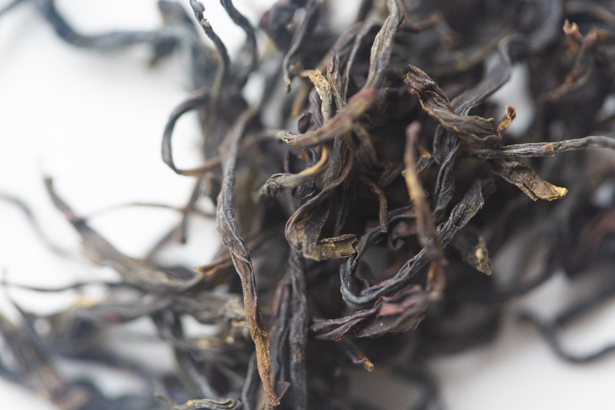 spectrum 2025 organic dancong oolong light tea 2 | BITTERLEAF TEAS spectrum 2025 organic dancong oolong light tea 2 | BITTERLEAF TEAS