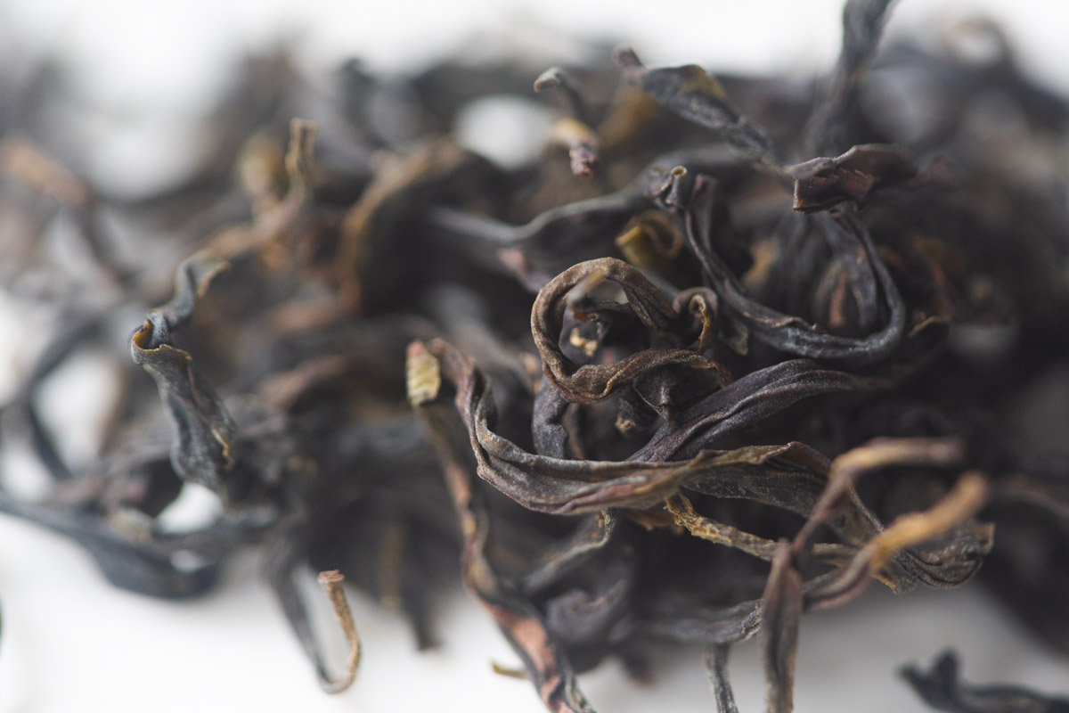 spectrum 2025 organic dancong oolong light tea 3 | BITTERLEAF TEAS spectrum 2025 organic dancong oolong light tea 3 | BITTERLEAF TEAS