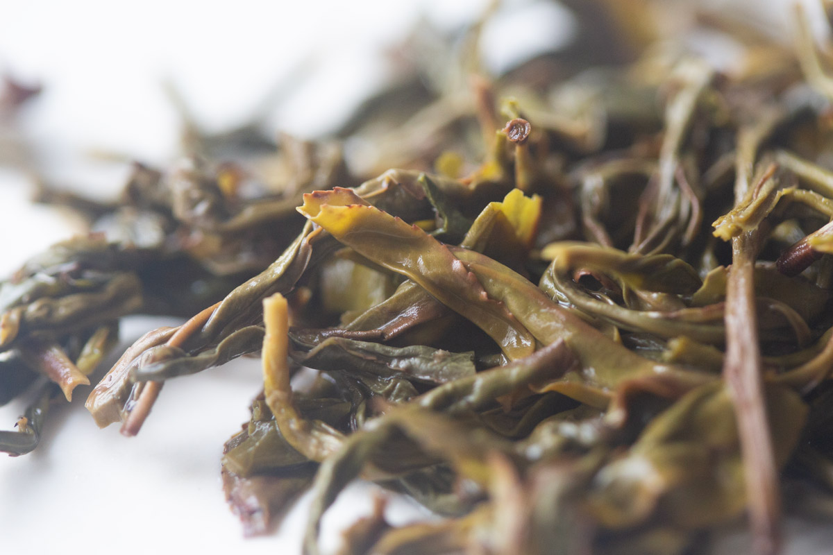 spectrum 2025 organic dancong oolong light tea 5 | BITTERLEAF TEAS spectrum 2025 organic dancong oolong light tea 5 | BITTERLEAF TEAS