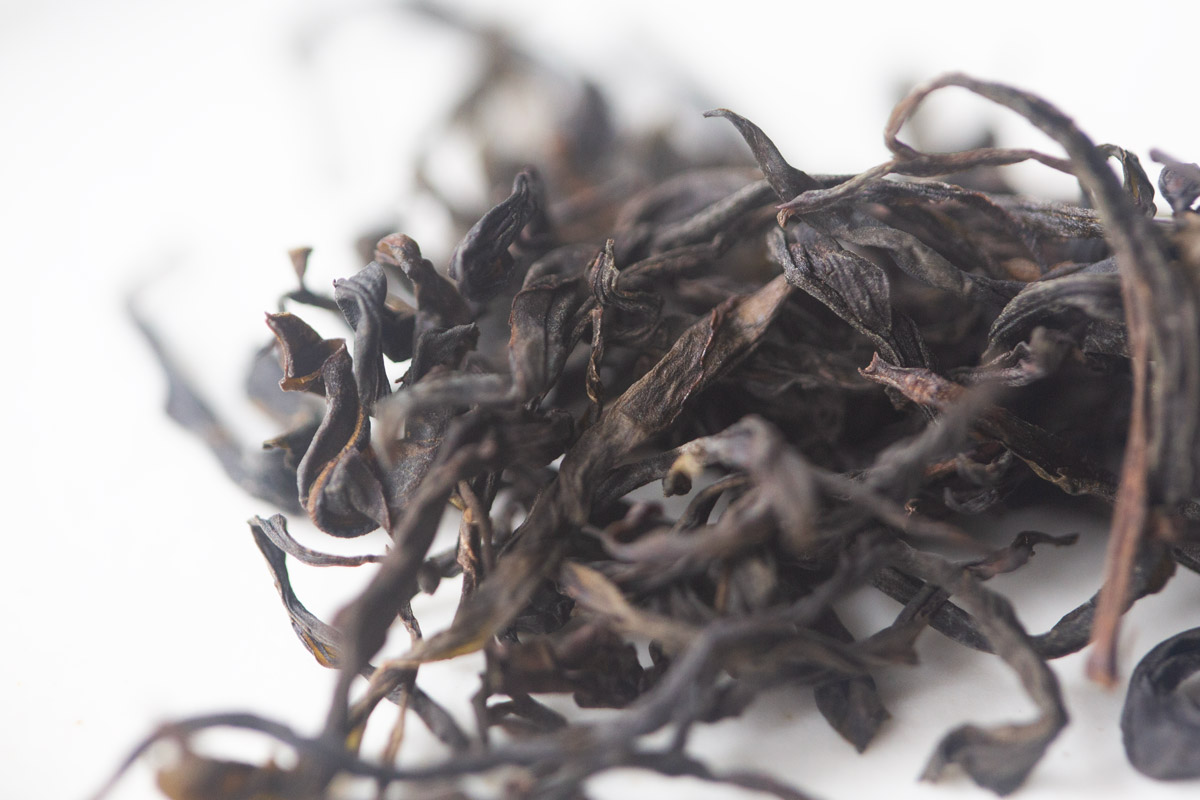 spectrum 2025 organic dancong oolong medium tea 3 | BITTERLEAF TEAS