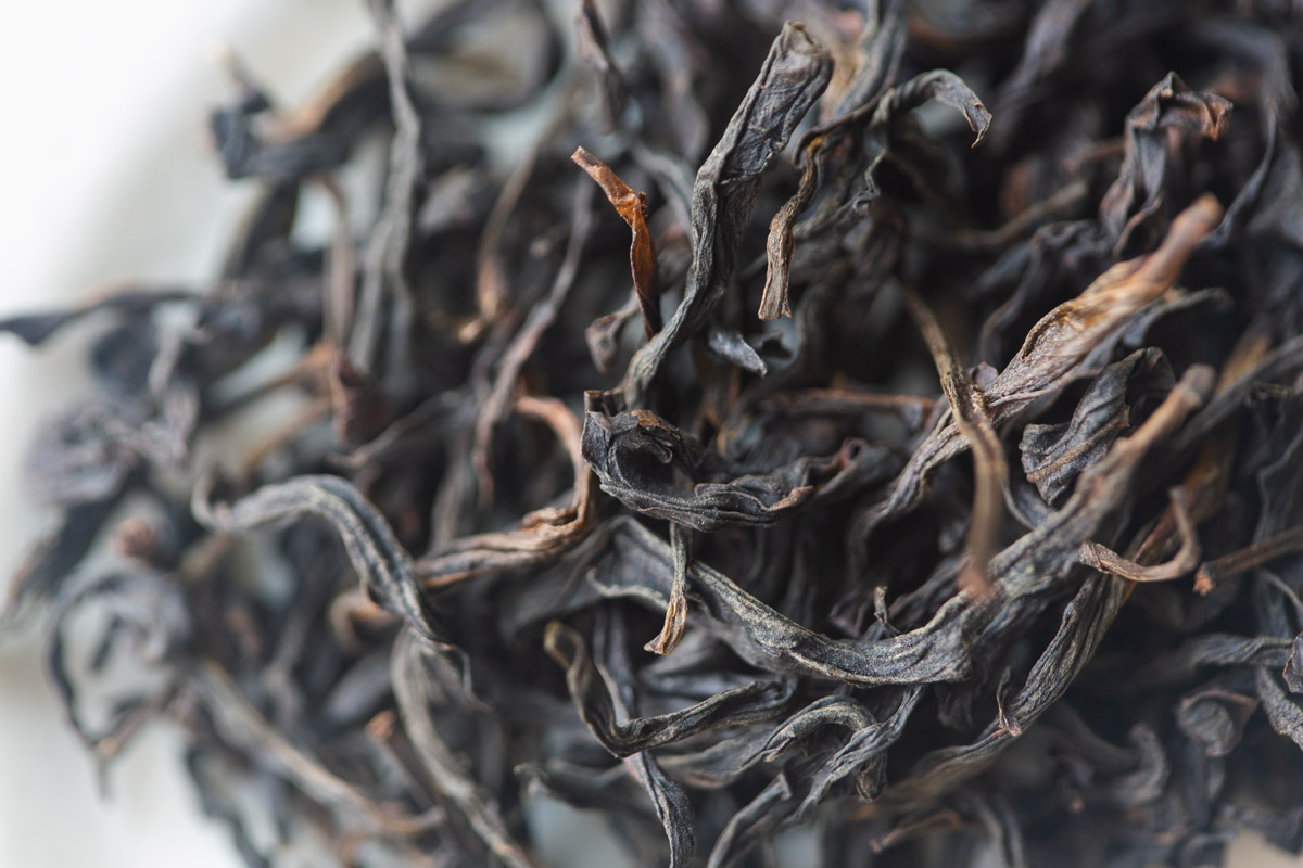 touch the sky 2025 spring tongtian xiang dancong oolong tea 3 | BITTERLEAF TEAS