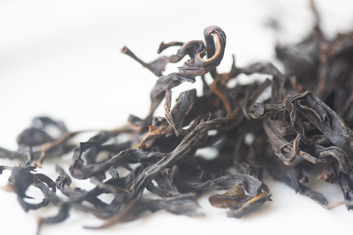 touch the sky 2025 spring tongtian xiang dancong oolong tea 4 | BITTERLEAF TEAS