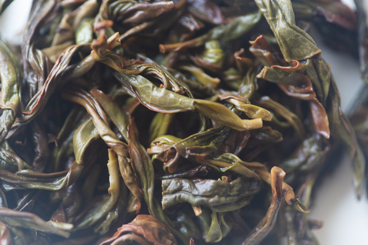 touch the sky 2025 spring tongtian xiang dancong oolong tea 6 | BITTERLEAF TEAS