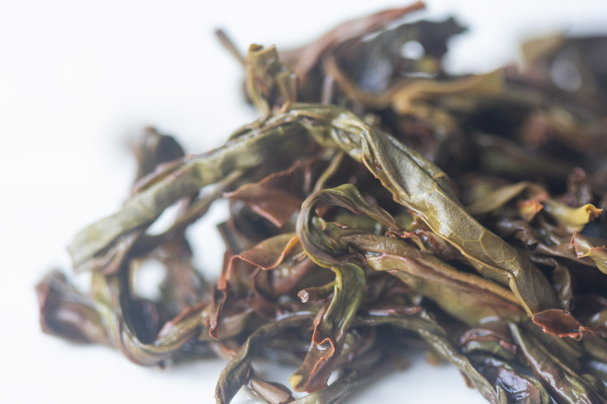 touch the sky 2025 spring tongtian xiang dancong oolong tea 7 | BITTERLEAF TEAS