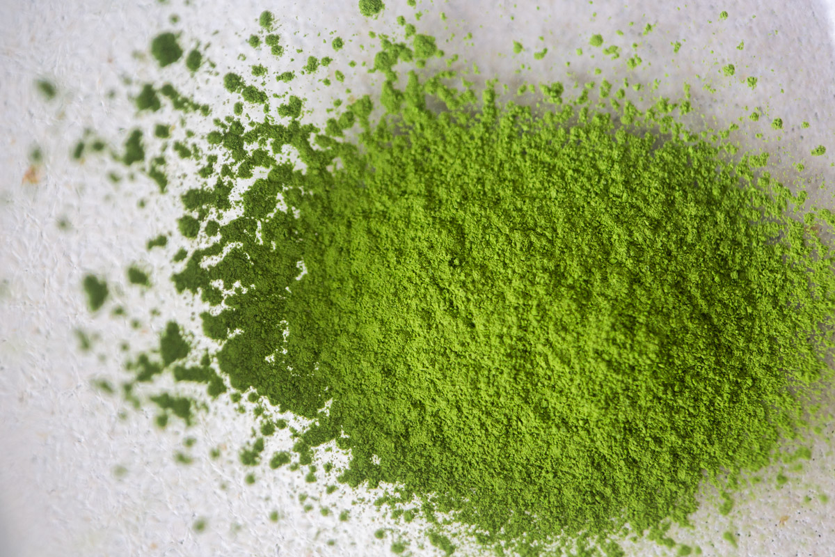 dose 2025 spring matcha 5 | BITTERLEAF TEAS