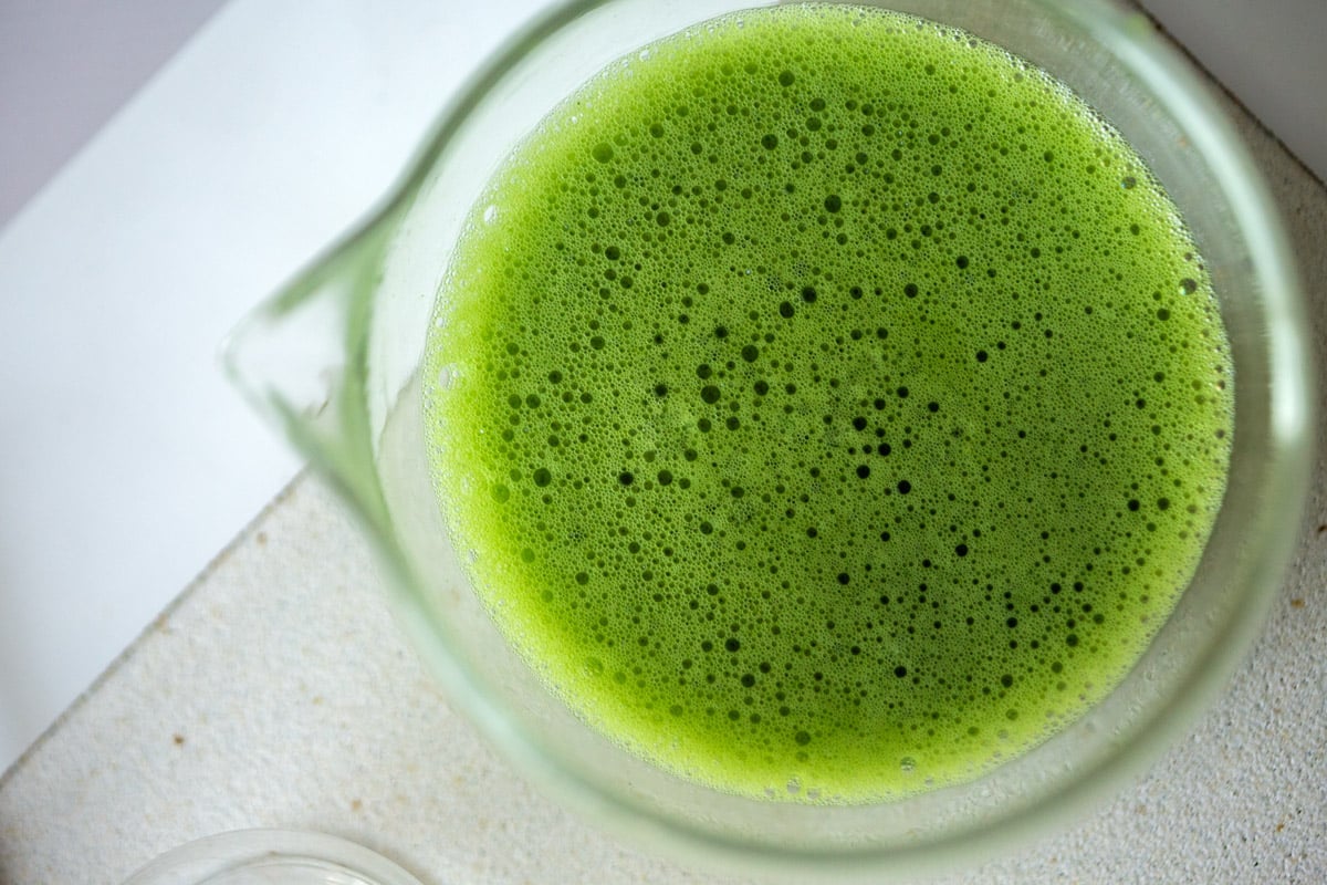 dose 2025 spring matcha 6 | BITTERLEAF TEAS dose 2025 spring matcha 6 | BITTERLEAF TEAS
