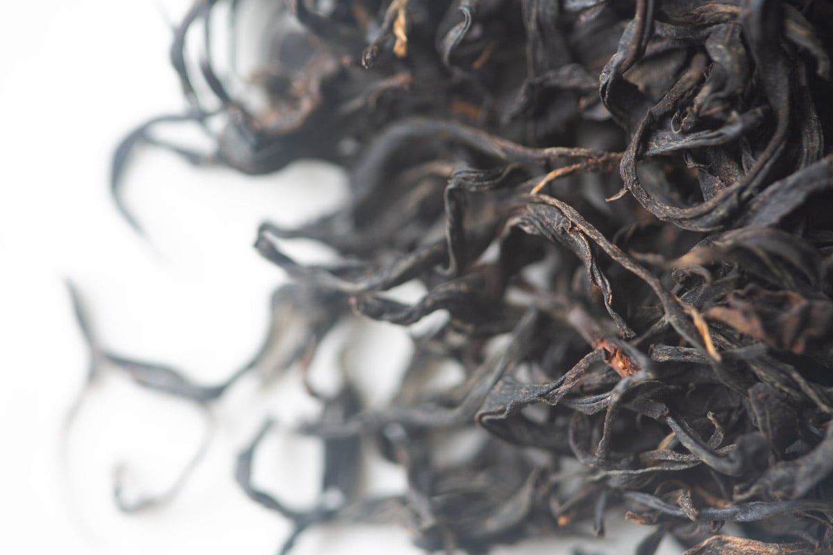 glow 2025 spring simao oolong hong tea 3 | BITTERLEAF TEAS