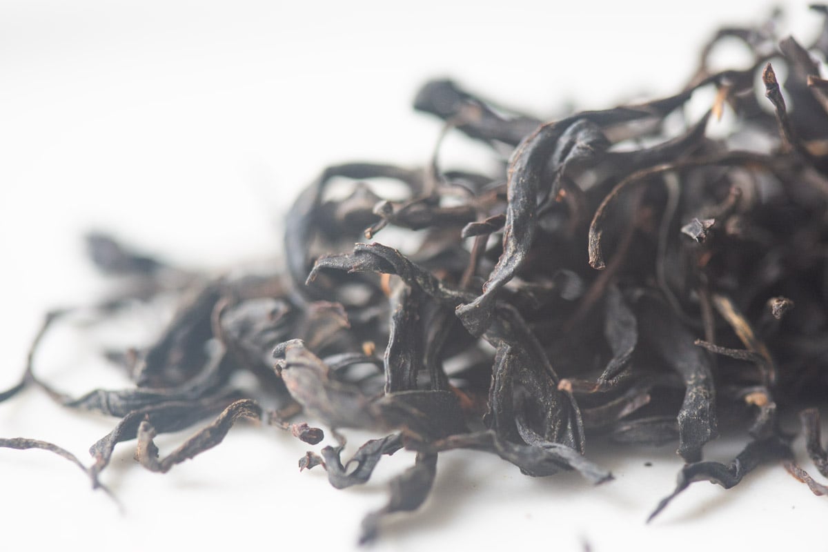 glow 2025 spring simao oolong hong tea 4 | BITTERLEAF TEAS