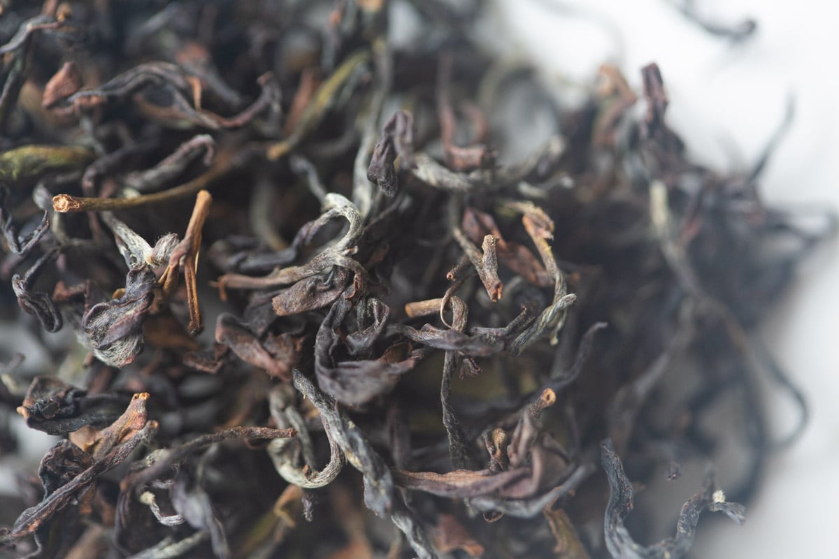 polka dots moonbeams 2025 spring simao dongfang meiren oolong tea 3 | BITTERLEAF TEAS polka dots moonbeams 2025 spring simao dongfang meiren oolong tea 3 | BITTERLEAF TEAS