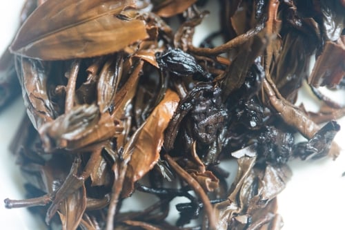 Body & Soul 2025 Shou Puer X Black Tea | BITTERLEAF TEAS