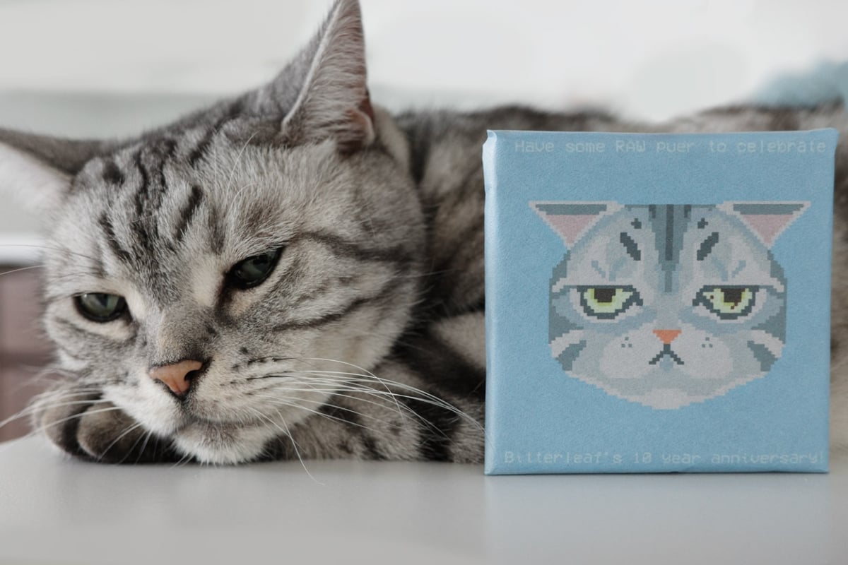 c suite 2025 raw puer tea brick chairman 6 | BITTERLEAF TEAS c suite 2025 raw puer tea brick chairman 6 | BITTERLEAF TEAS