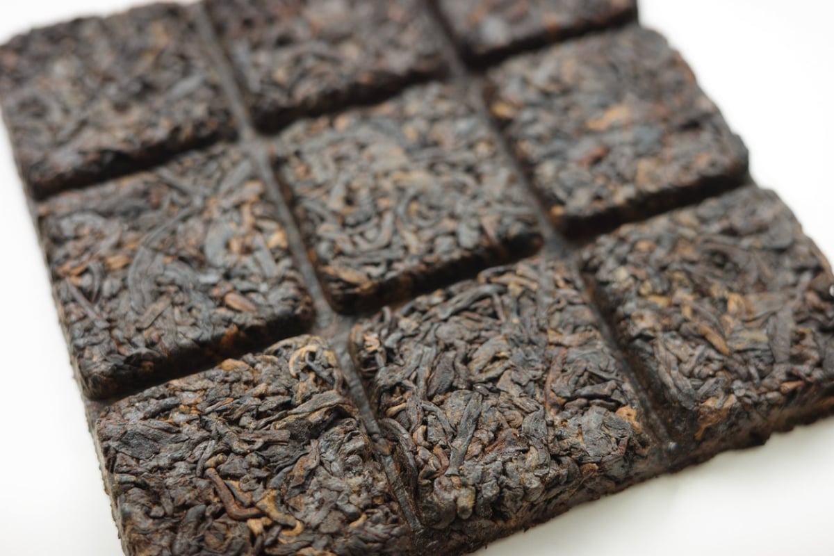 c suite 2025 ripe puer tea brick kiwi 4 | BITTERLEAF TEAS