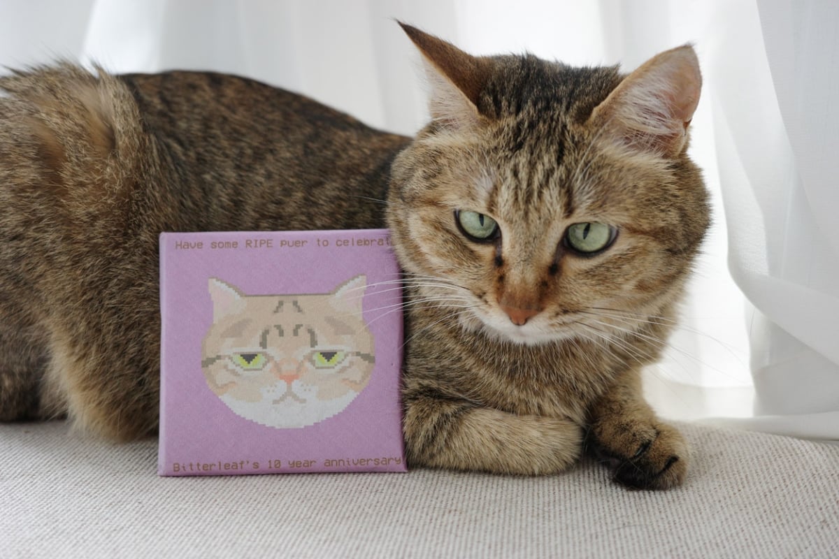 c suite 2025 ripe puer tea brick kiwi 6 | BITTERLEAF TEAS