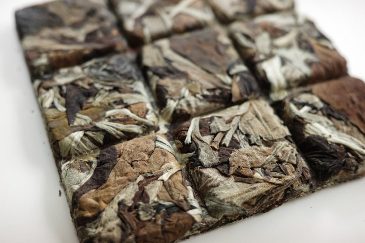 c suite 2025 white tea brick pharaoh 2 | BITTERLEAF TEAS c suite 2025 white tea brick pharaoh 2 | BITTERLEAF TEAS