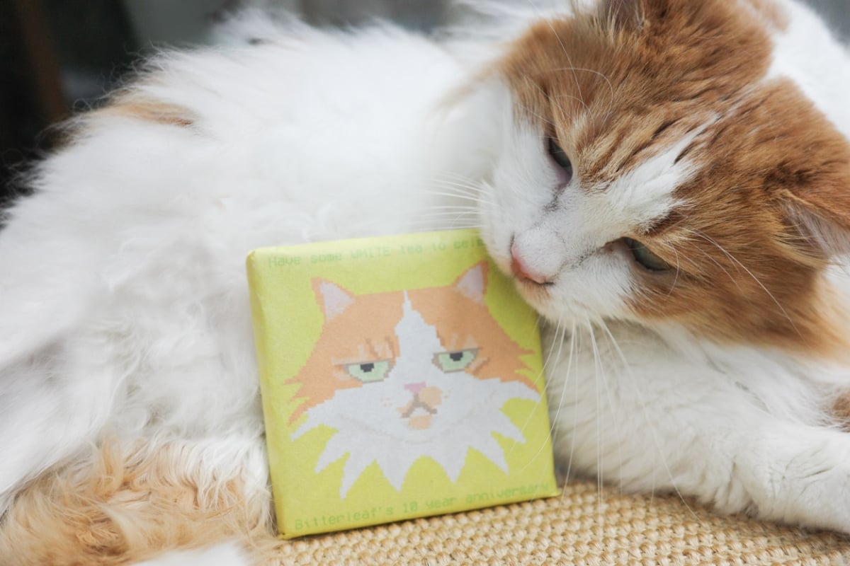 c suite 2025 white tea brick pharaoh 5 | BITTERLEAF TEAS c suite 2025 white tea brick pharaoh 5 | BITTERLEAF TEAS