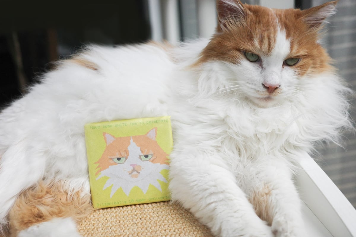 c suite 2025 white tea brick pharaoh 6 | BITTERLEAF TEAS c suite 2025 white tea brick pharaoh 6 | BITTERLEAF TEAS