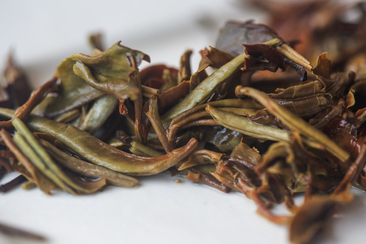 impress forcibly through unexpectedness 2025 wuliang shan white tea 9 | BITTERLEAF TEAS