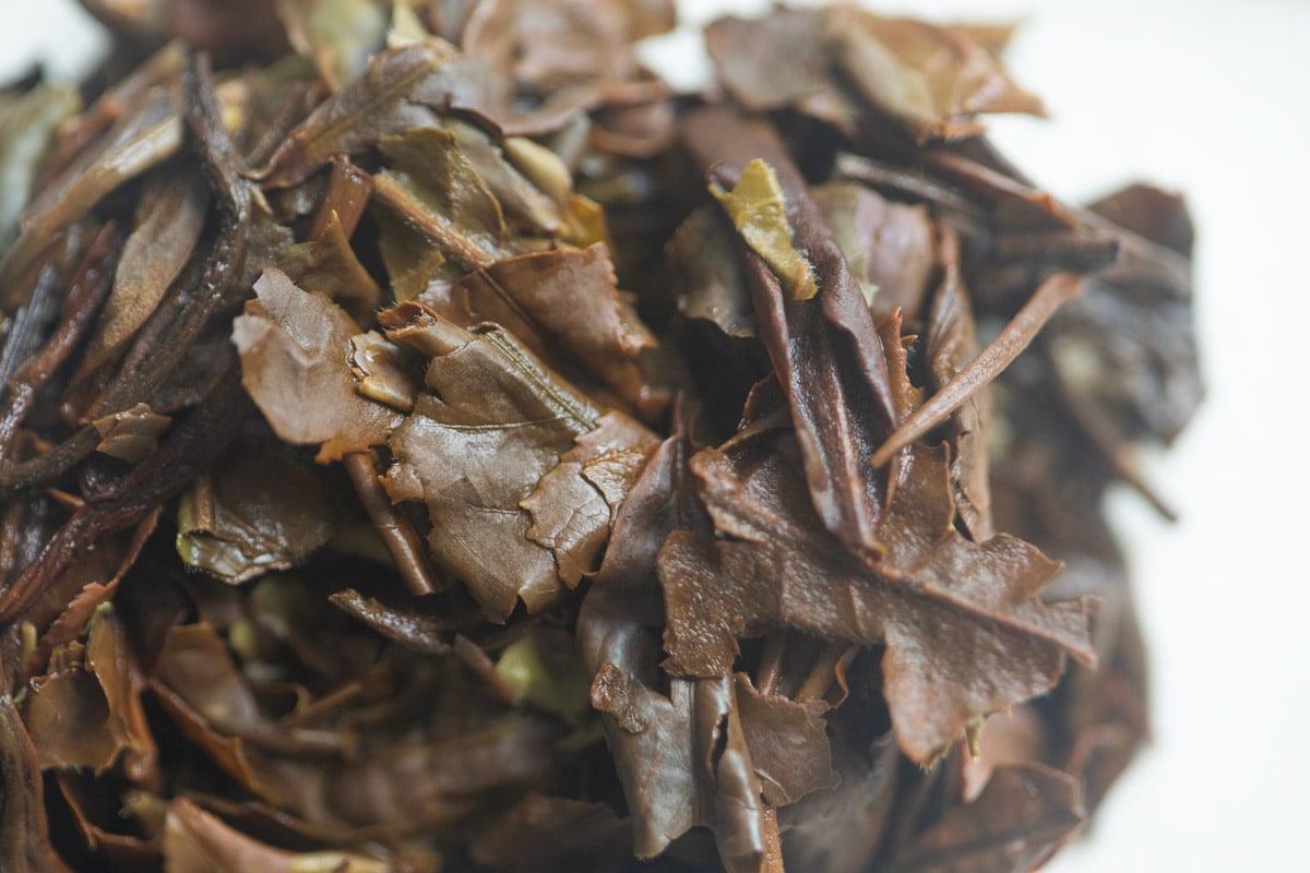 iron silk 2025 spring laomane white tea 9 | BITTERLEAF TEAS