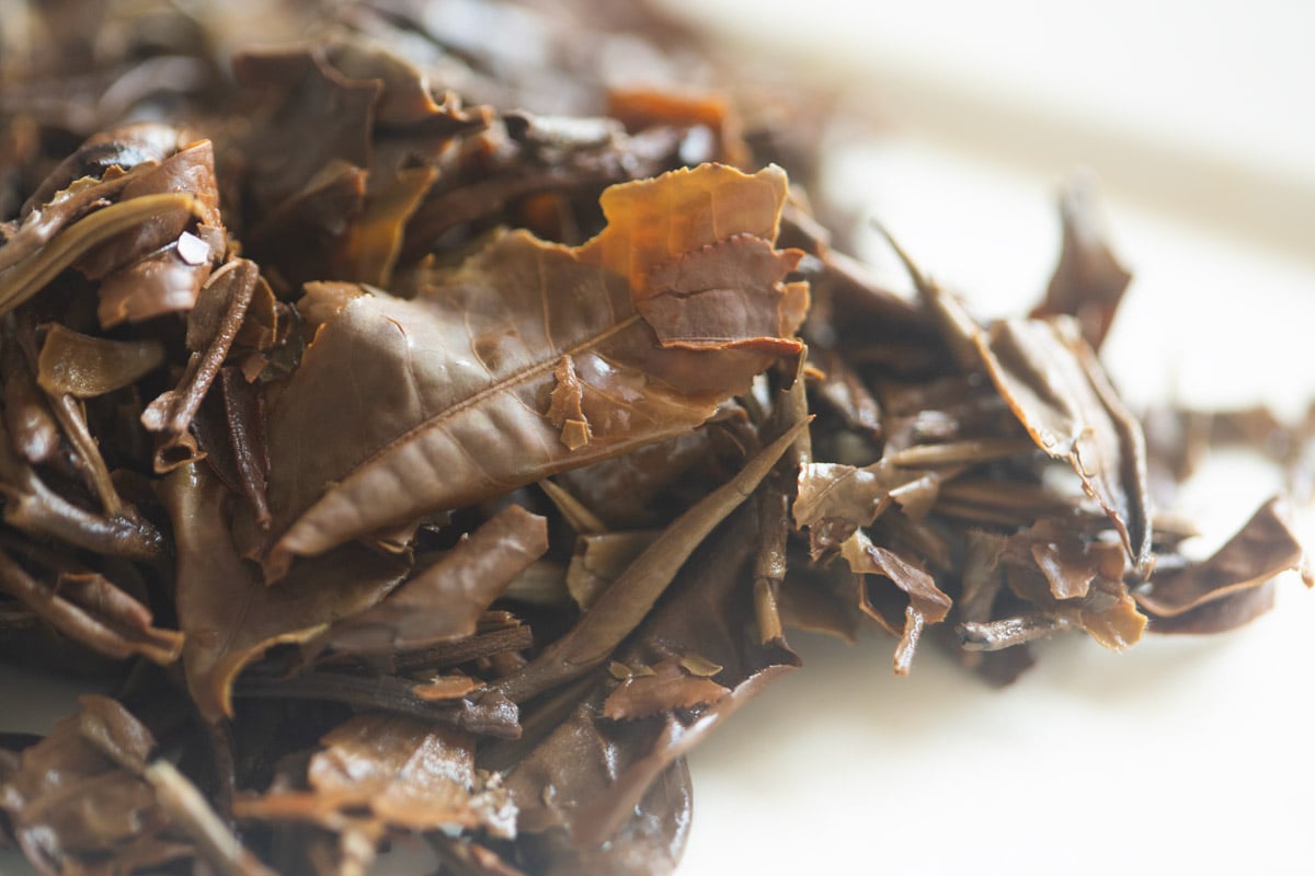 skinny dip 2025 spring ximeng organic white tea 10 | BITTERLEAF TEAS skinny dip 2025 spring ximeng organic white tea 10 | BITTERLEAF TEAS