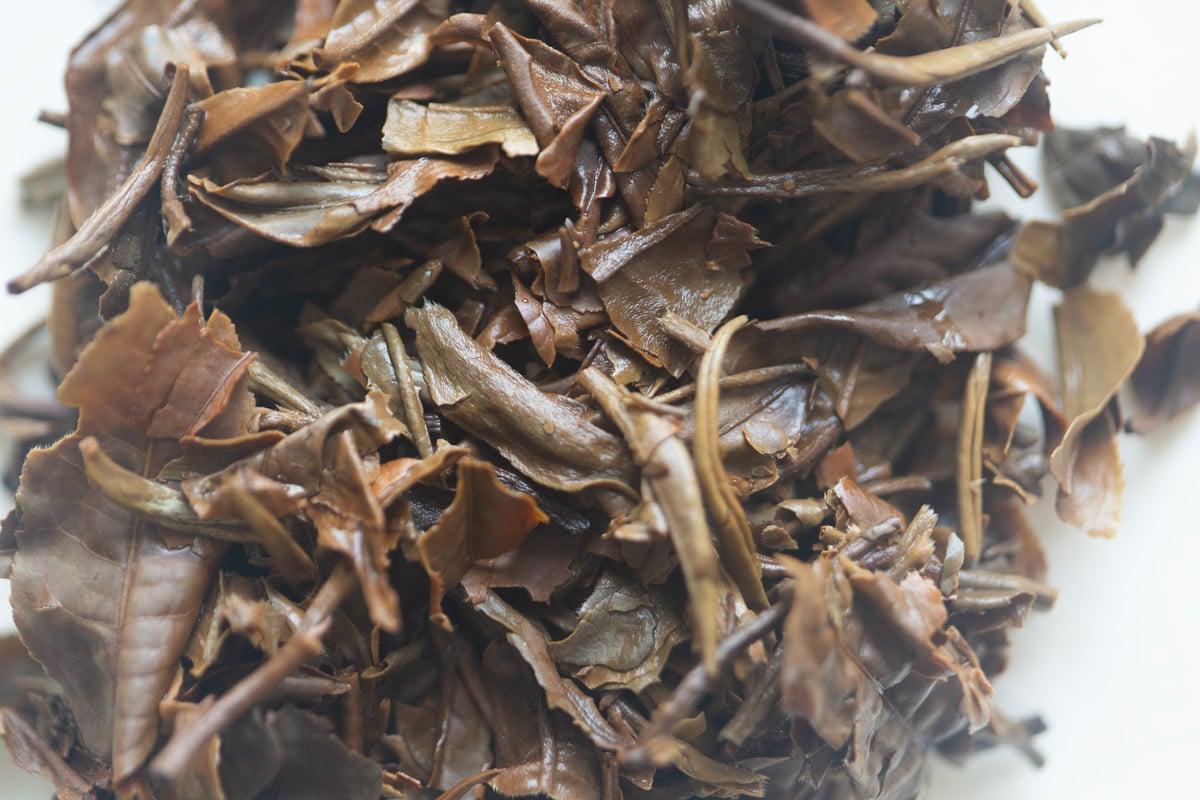Skinny Dip 2025 Spring Ximeng Organic White Tea | BITTERLEAF