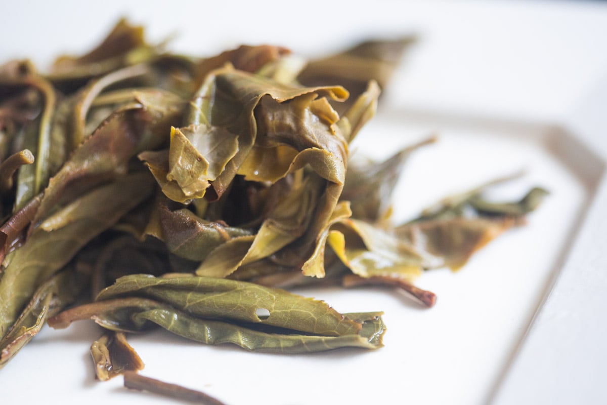 trade secret 2025 raw puer blend 10 | BITTERLEAF TEAS