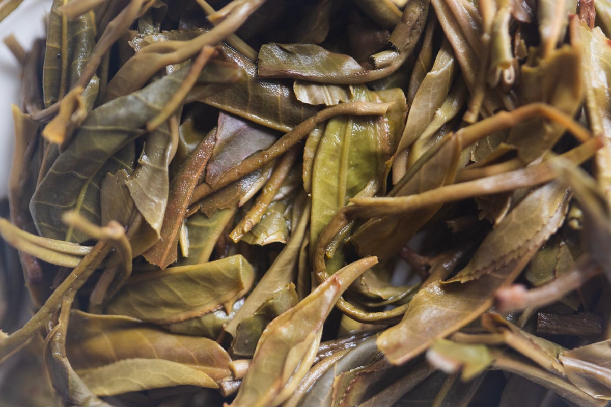 trade secret 2025 raw puer blend 9 | BITTERLEAF TEAS